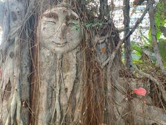 -呀路古热带植物园