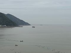 -北岐滩涂
