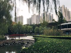 -苏州河梦清园环保主题公园