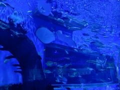 -石家庄极地海洋世界