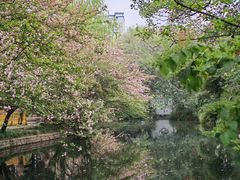 -棠湖公园
