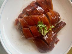 -椿记烧鹅(叠彩店)