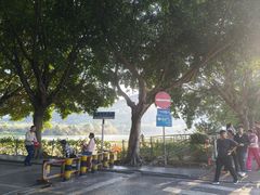 -风云岭森林公园
