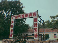 -大丰知青农场