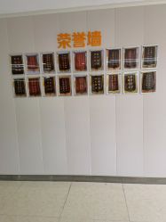 -艾博尔医院