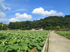 -古田会议纪念馆