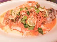 -酝· 大师滇菜(公园1903店)