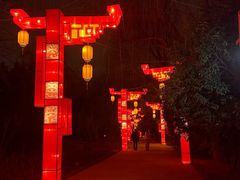 -洛阳市隋唐城遗址植物园