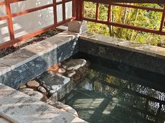-水底山庄园温泉