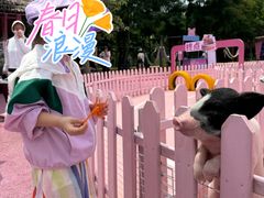 -渔岛海洋度假区