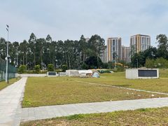 -阳台山森林公园