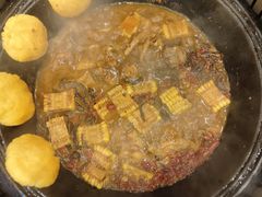 -田家大院东北农家菜铁锅炖(西安总店)