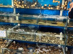 -仙螺岛海鲜自助餐厅(总店)