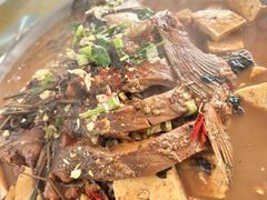 -庆岭迎宾园正宗活鱼馆