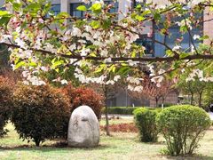 -西安石油大学(雁塔校区)