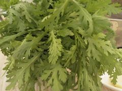 茼蒿菜-台北吴记老锅底麻辣火锅(蓝村路店)
