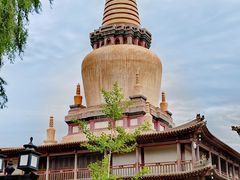 -张掖大佛寺景区