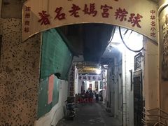 -老妈宫粽球