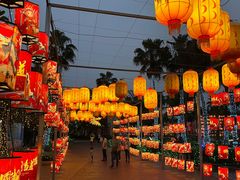 -珠海海泉湾神秘岛亲子乐园