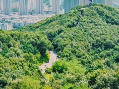 -童牛岭风景区