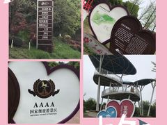 -铁山坪森林公园