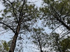 -白塘生态植物园