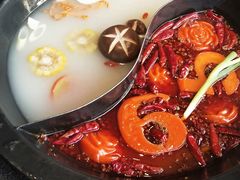 鸳鸯锅-重庆德庄火锅(体育中心店)