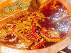 -舌尖记忆重庆火锅(悉尼店)