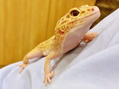 -藦茜花园宠物主题亲子互动体验馆(国顺东路店)