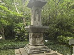 -汇龙潭