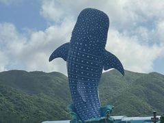 -珠海长隆海洋王国