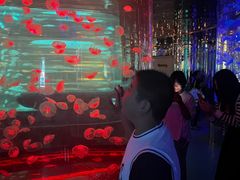 -石家庄海洋公园