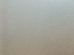 -津门如意包子铺(宾西路店)