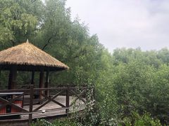 -大亚湾红树林城市湿地公园