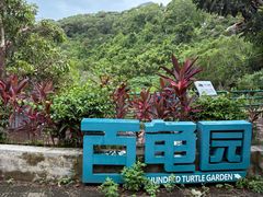 -广东惠东海龟国家级自然保护区