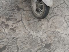 -宫廷糕点铺(双林中横路店)