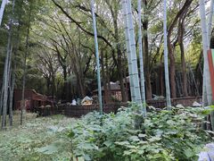-同里国家湿地公园