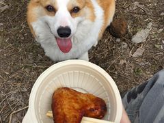 -广富林郊野公园