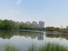 -新江湾城公园