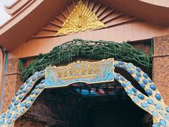 -西双版纳原始森林公园