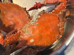 -半岛听涛蒸汽海鲜自助(K11店)