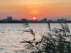 -春花秋色城市公园