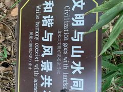 -苏州上方山国家森林公园