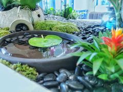 -荷兰布尔玛国际花艺学院