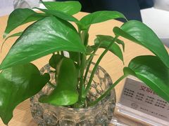 -嘉兴华美达酒店(秦逸路店)