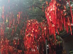 -国恩寺