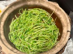 -天辣(金桥啦啦宝都店)