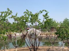 -张家湾公园