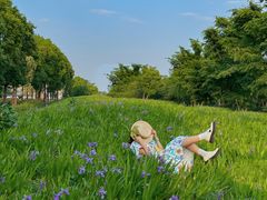 -白鹭湾湿地公园