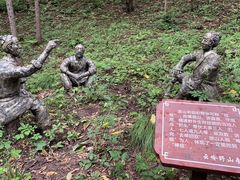 -云岭野山参风景区